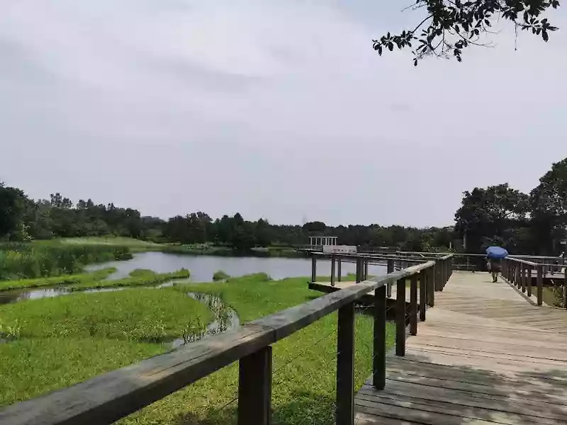 location-2