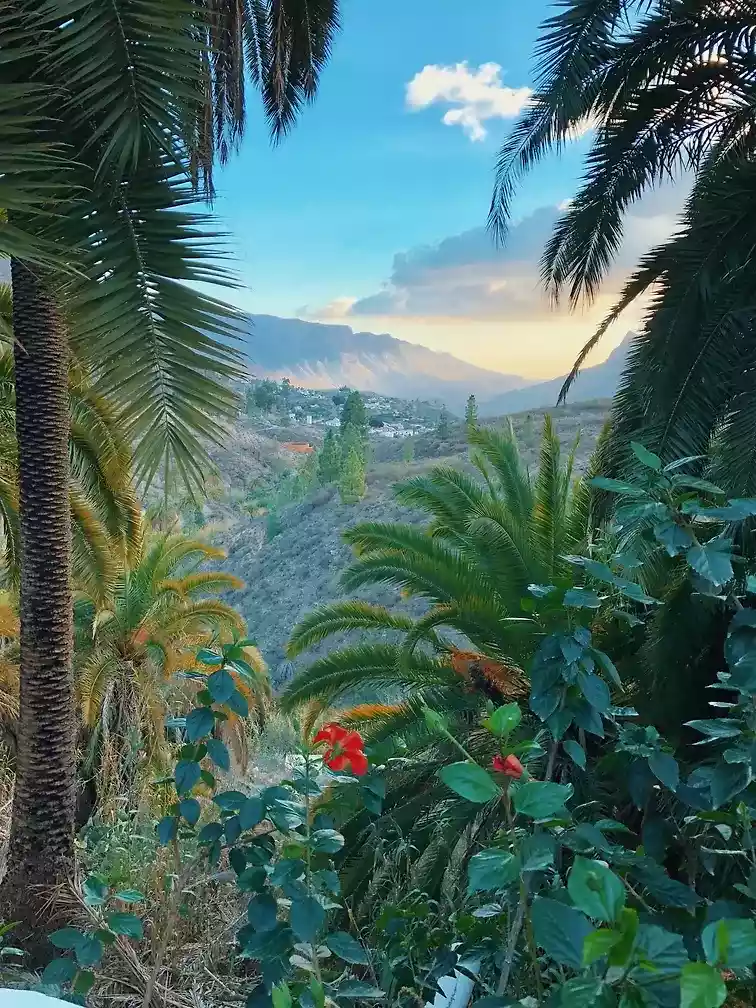 tenerife paradise