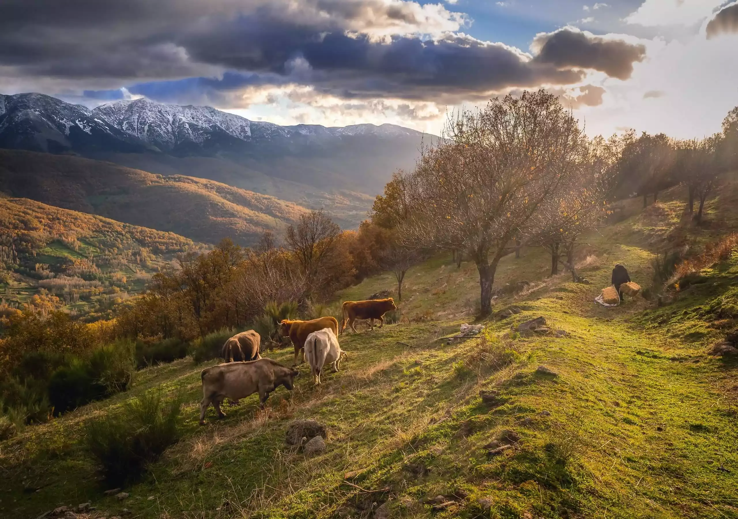 Ambroz Valley