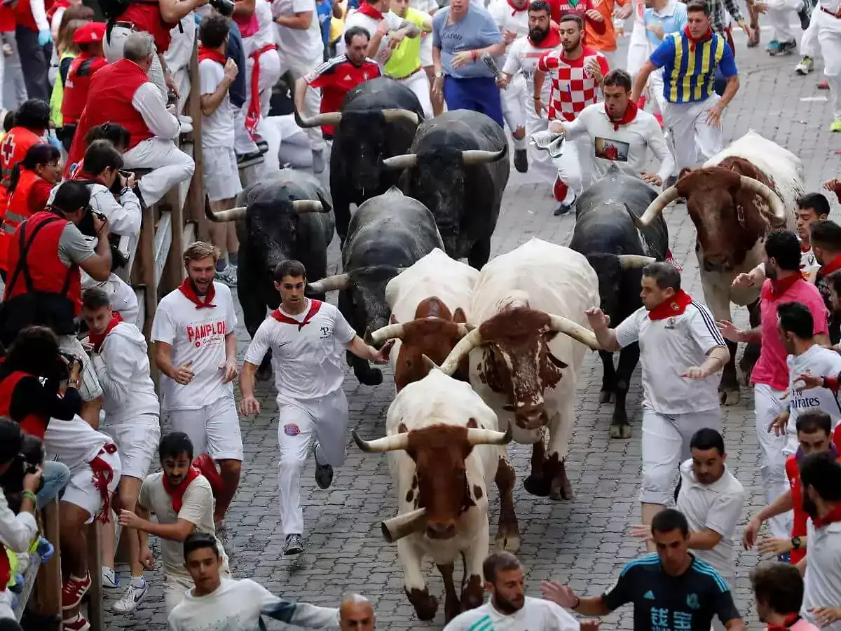 San Fermínes San Fermínes