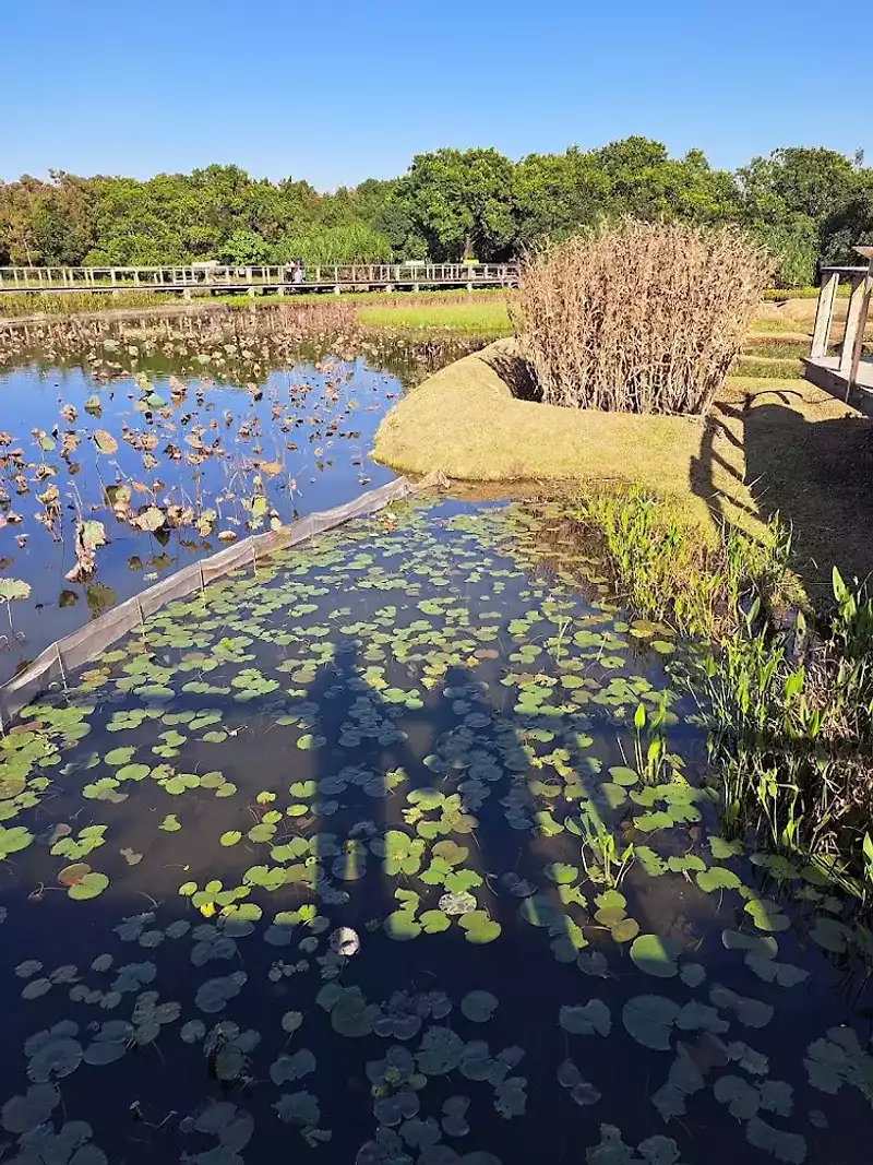 Hong-Kong-Wetland-Park-1