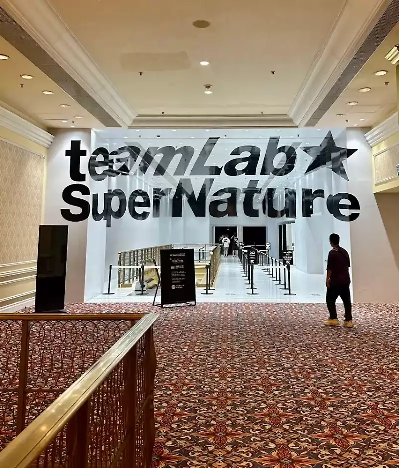TeamLab-SuperNature-2