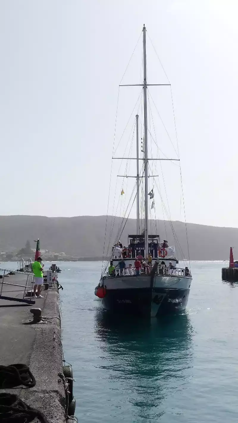 Whale-&-Dolphin-Watching-Boat-Tour-from-Los-Cristianos--1