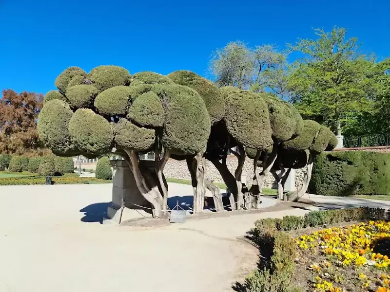 El-Retiro-Park-1