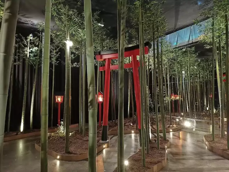 Ikono-1