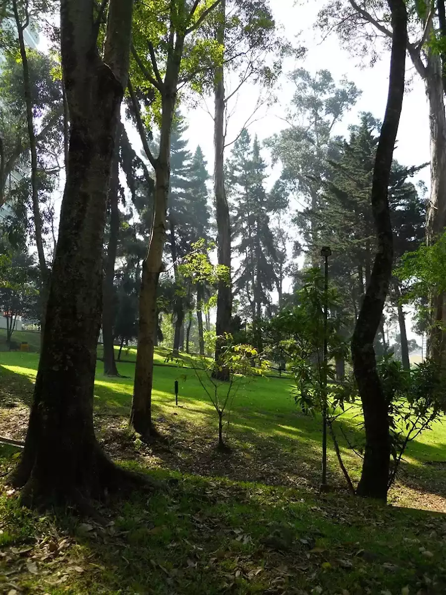 Parque-de-la-Independencia-1
