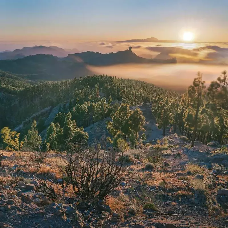 Pico-De-Las-Nieves-0
