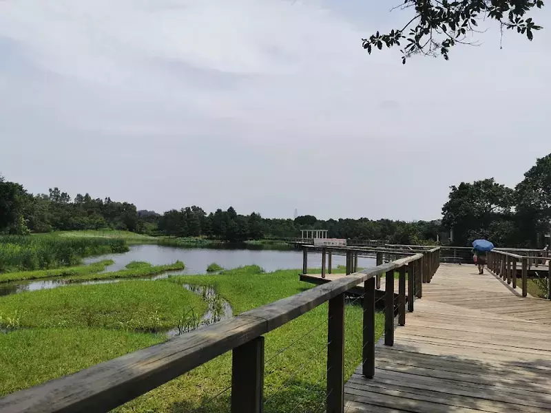 Hong-Kong-Wetland-Park-0