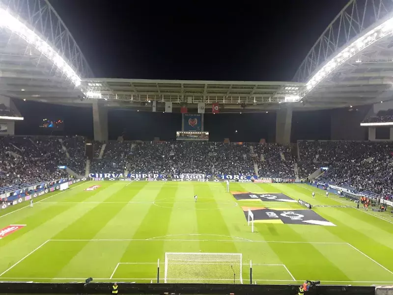 Estadio-do-Dragao-0