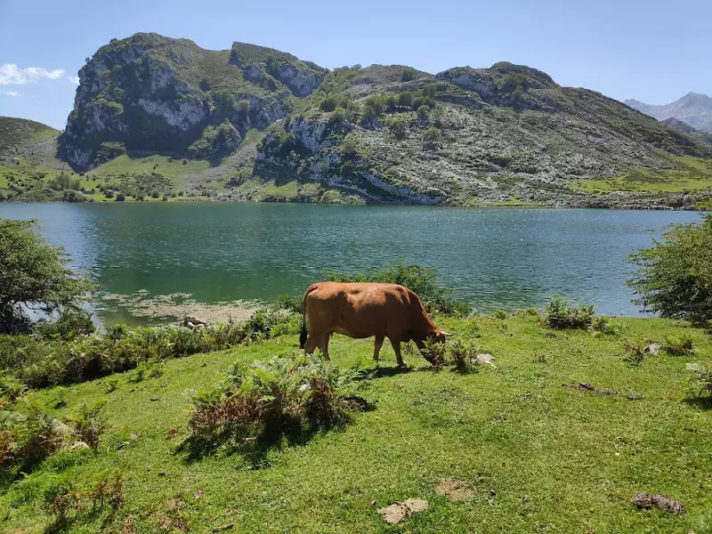 Lagos-de-Covadonga-0